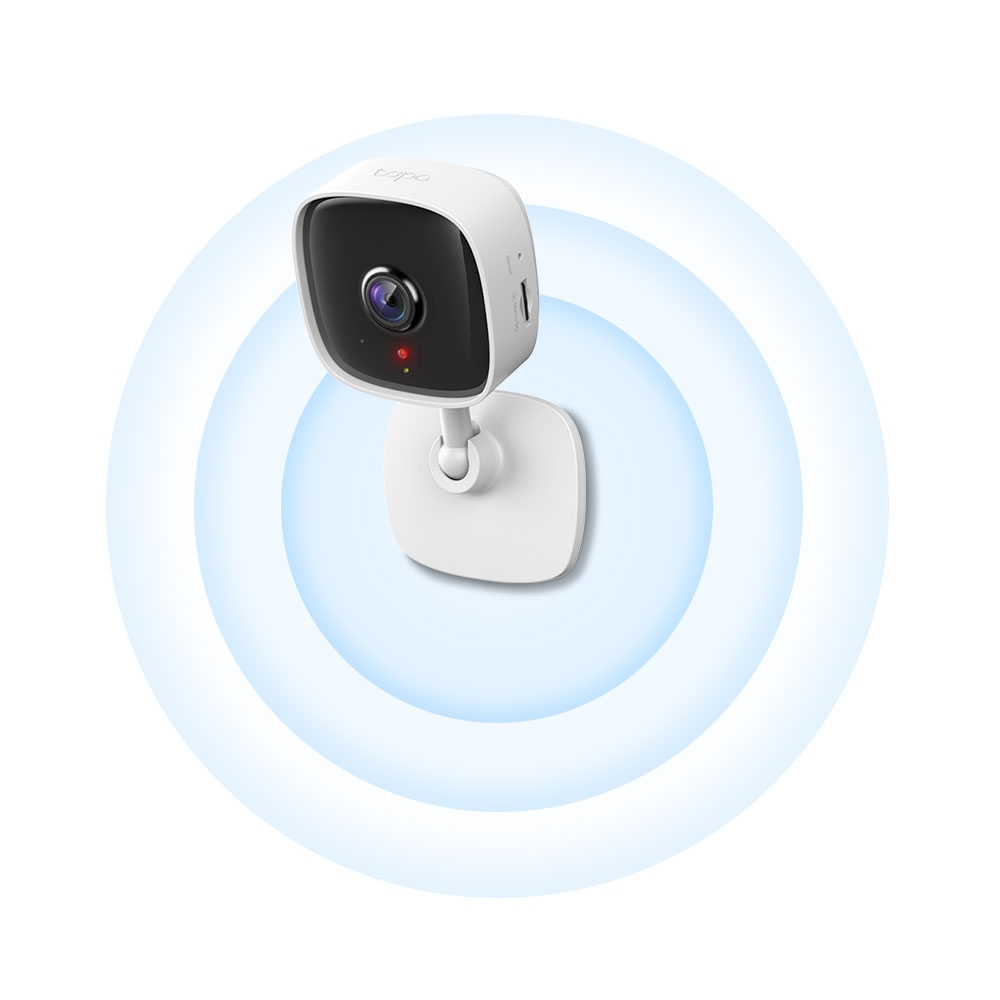 IP-������ TP-LINK Tapo C100